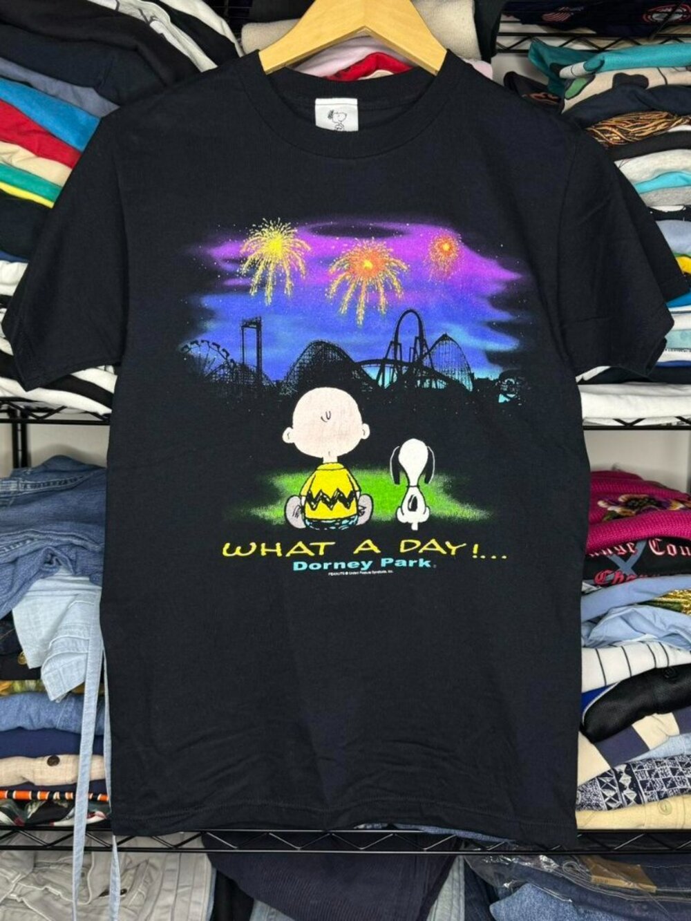 VINTAGE Snoopy Dorney Park "What a Day" Graphic Tee